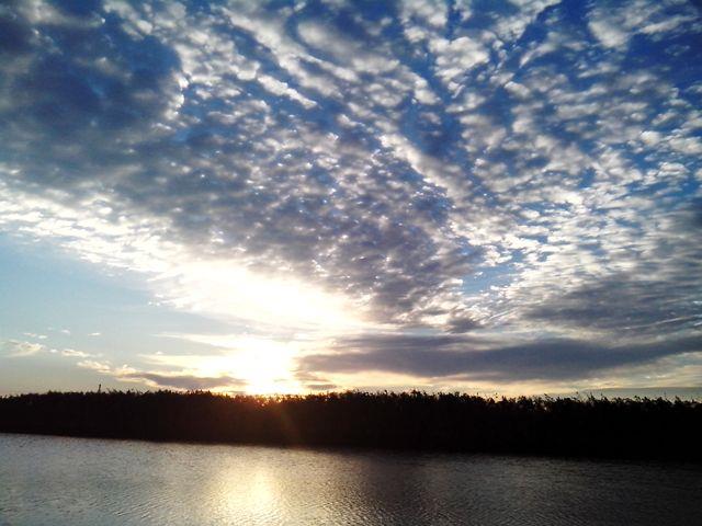 Doar ... NATURA  - 2 - img20130919070748.jpg